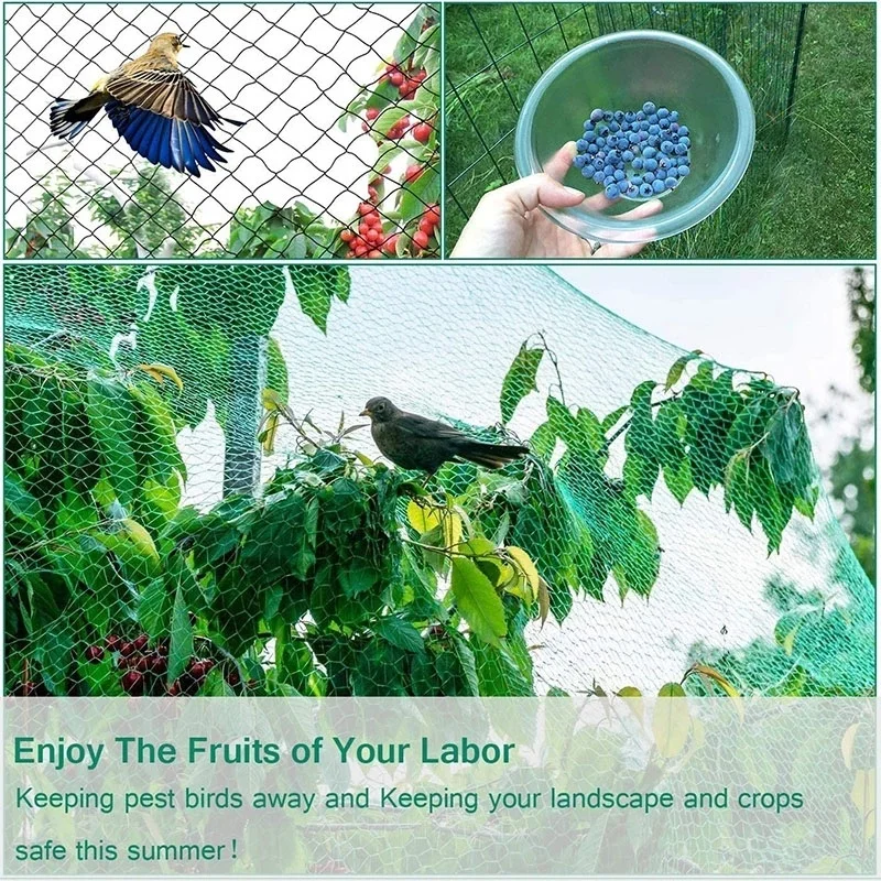 5/10M Gartennetz, grünes geweb – Plant Sensor Bewertung und Preis