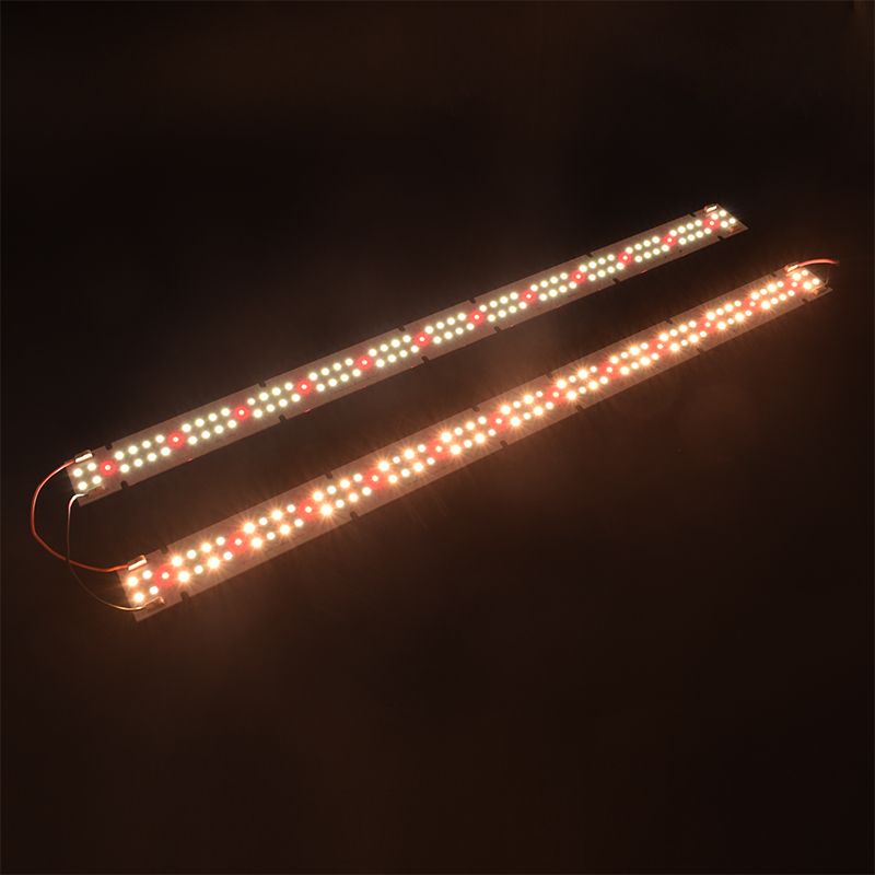 Hochwertige IP55-zertifizierte – Grow Light Led Bewertung und Preis