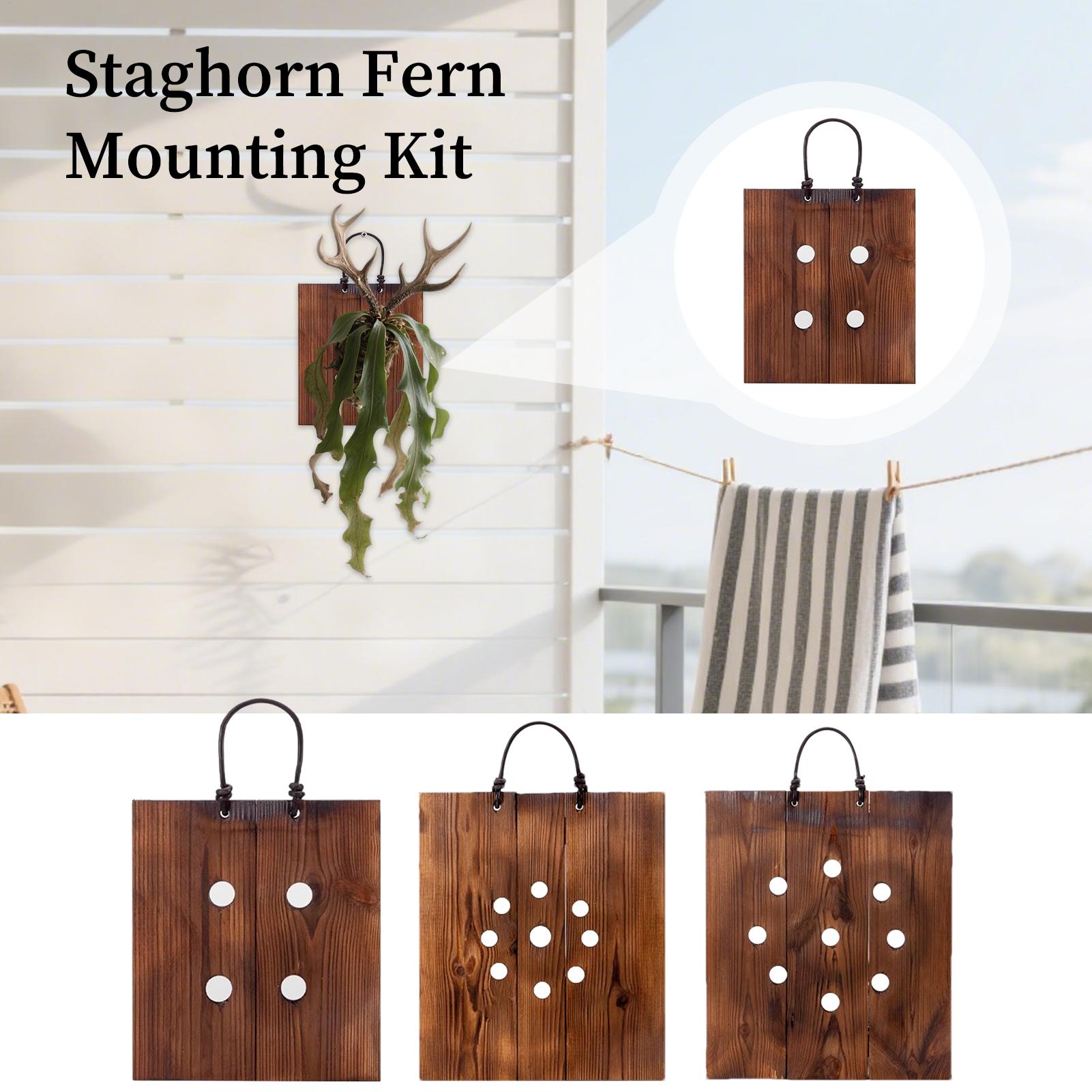 Staghorn-Farn-Wandhalterung au – Indoor Garden Kit Bewertung und Preis